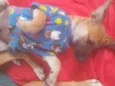 Max e duque