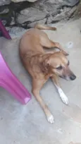 Frida