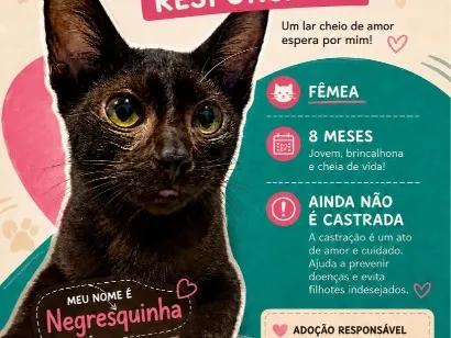 Gato raça SRD-ViraLata idade 7 a 11 meses nome Negresquinha