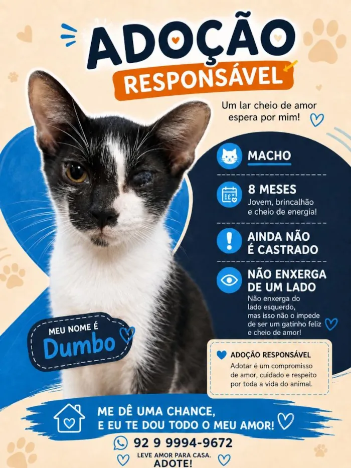 Gato raça SRD-ViraLata idade 7 a 11 meses nome Dumbo