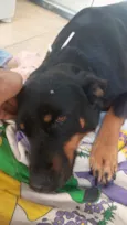 Não sei
