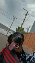 Não sei