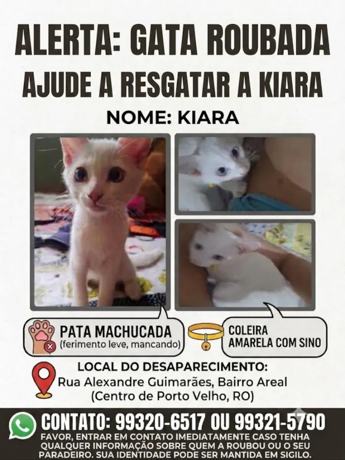 Gato raça SRD-ViraLata idade 2 a 6 meses nome Kiara