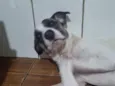 Charlote