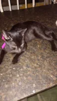Salem