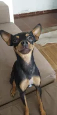 Little