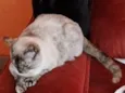 Nina