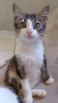 Mia