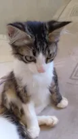 Mia