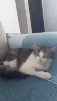 Miguel