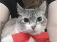 apelidamos ele de Sushi