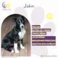 John