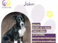 John