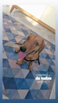 Scooby