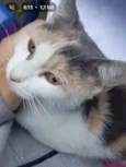 Mia