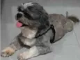 Pepee