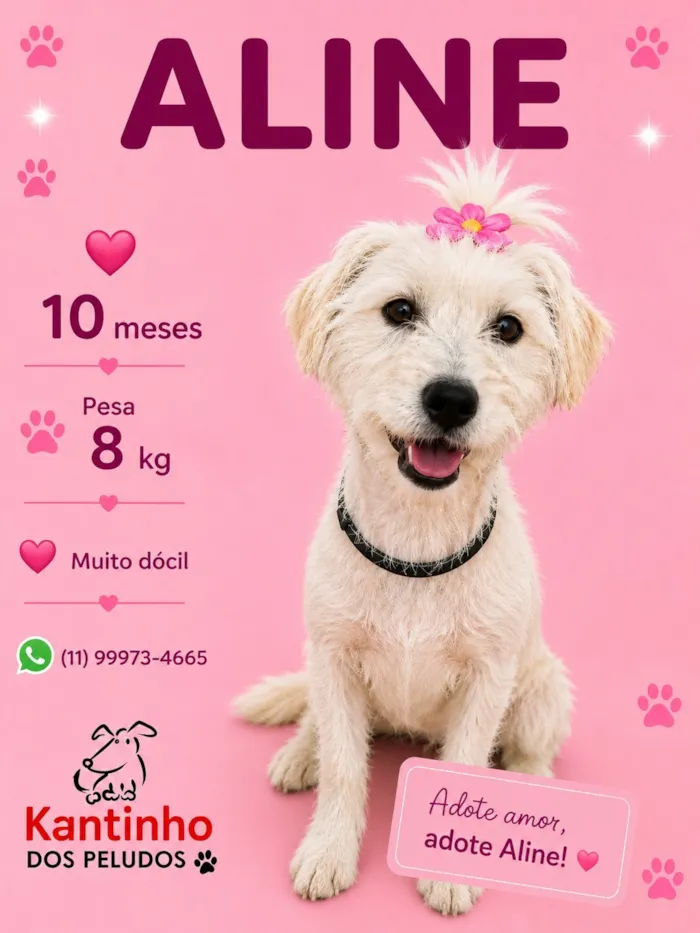 Cachorro raça SRD-ViraLata idade 7 a 11 meses nome Aline