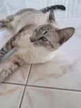 Marie