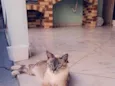 Marie
