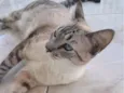 Marie