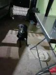 Bingo