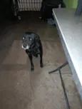 Bingo