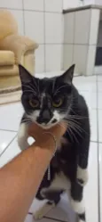 Kira 