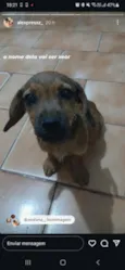 não tem