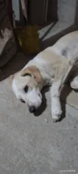Julie