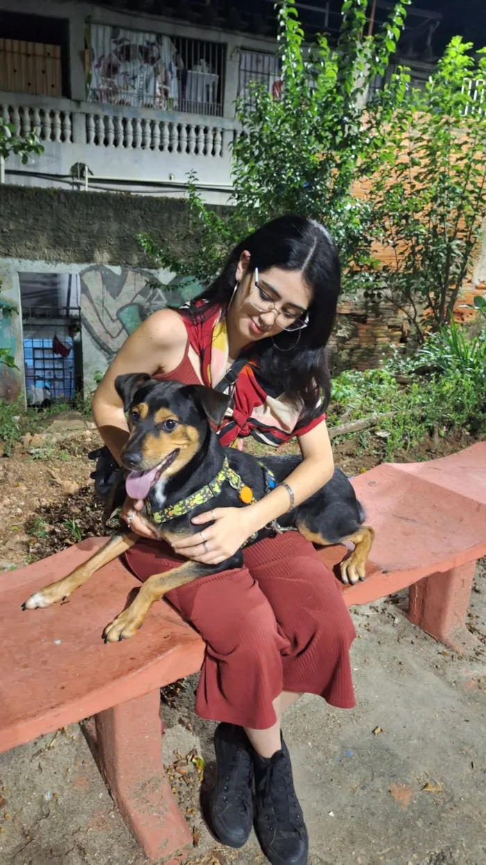 Cachorro raça SRD-ViraLata idade 1 ano nome Duke