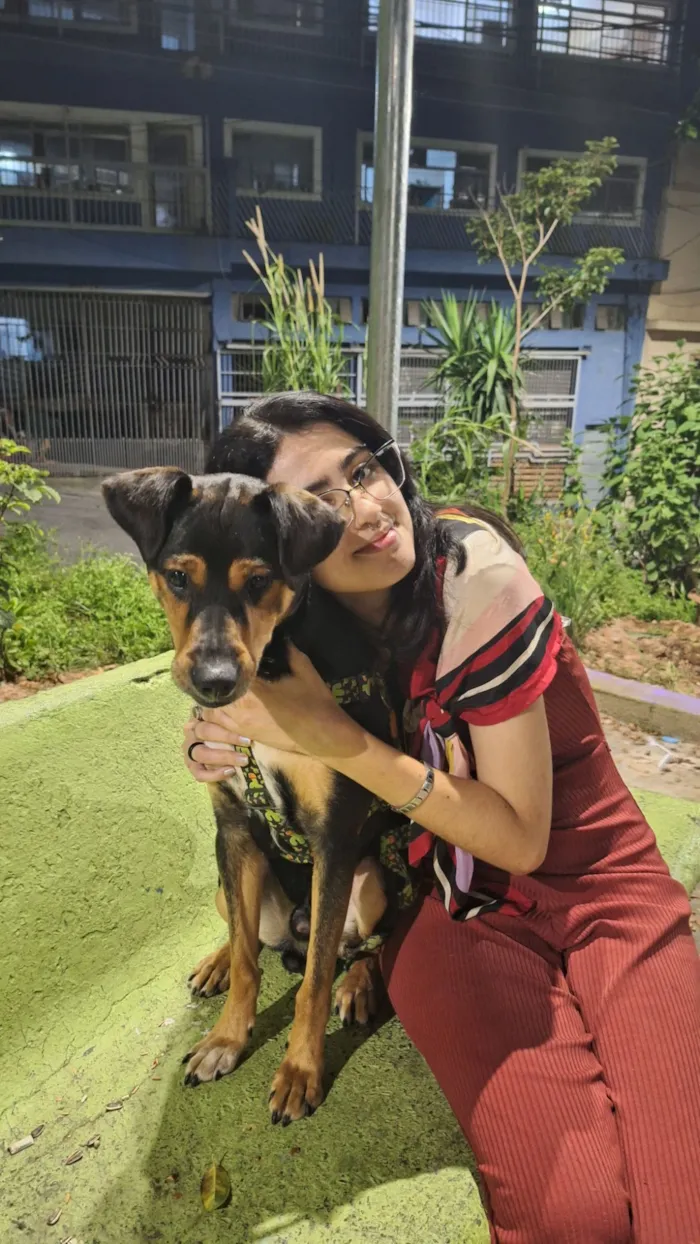 Cachorro raça SRD-ViraLata idade 1 ano nome Duke
