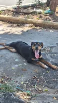Duke