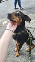 Duke