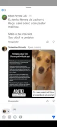 Sol