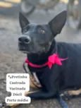 Pretinha