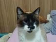 Linda