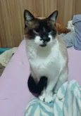 Linda