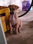 Aguardando um dono para por nome 