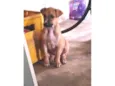 Aguardando um dono para por nome 