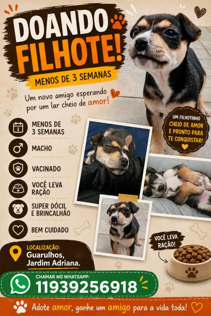 Cachorro raça SRD-ViraLata idade Abaixo de 2 meses nome pitu
