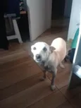 Lupita