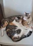 Meg e Liza