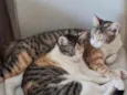 Meg e Liza