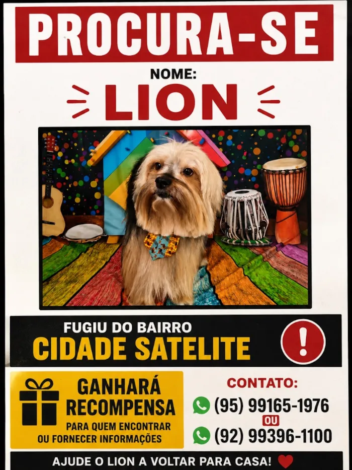 Cachorro raça SRD-ViraLata idade 6 ou mais anos nome Lion