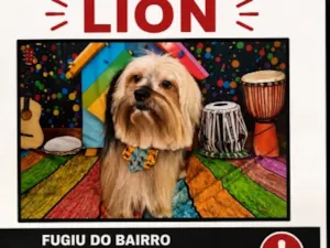 Cachorro raça SRD-ViraLata idade 6 ou mais anos nome Lion