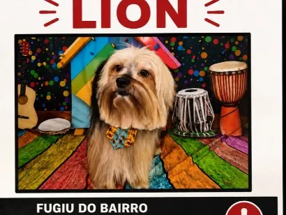 Cachorro raça SRD-ViraLata idade 6 ou mais anos nome Lion