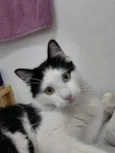 não sei 
