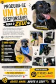 Zeu