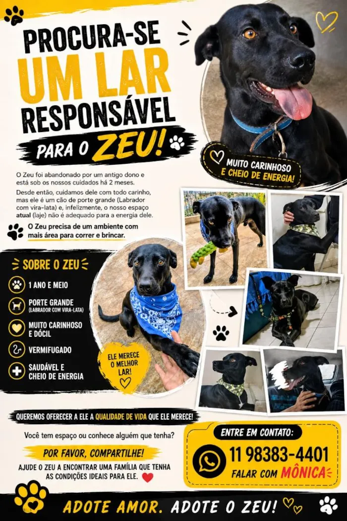 Cachorro raça SRD-ViraLata idade 1 ano nome Zeu