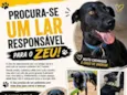 Zeu